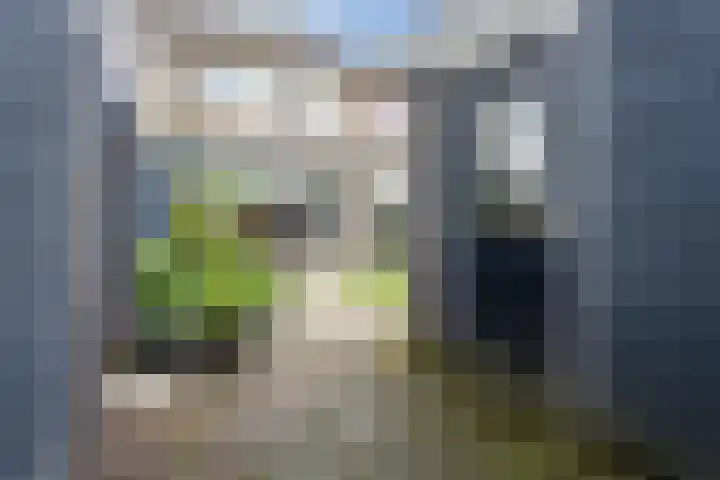 Jonkerveld 415 Uden thumbnail 40