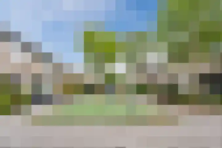 Jonkerveld 415 Uden thumbnail 5