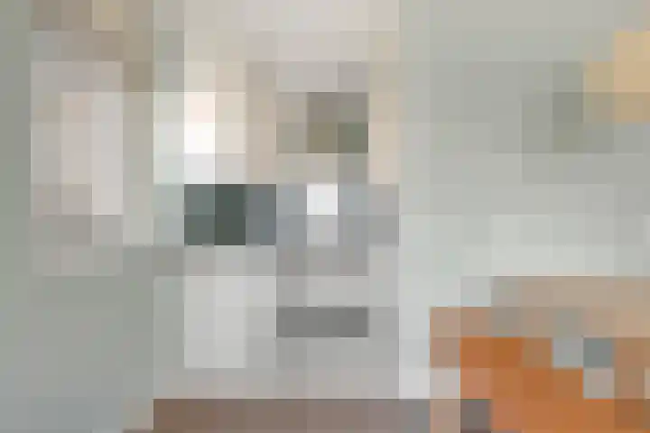 Jonkerweg 27 D Hilversum thumbnail 12