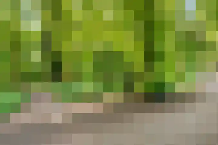 Jonkerweg 27 D Hilversum thumbnail 21