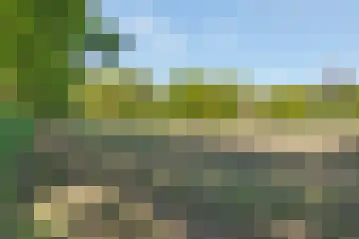Jonkerweg 27 D Hilversum thumbnail 22