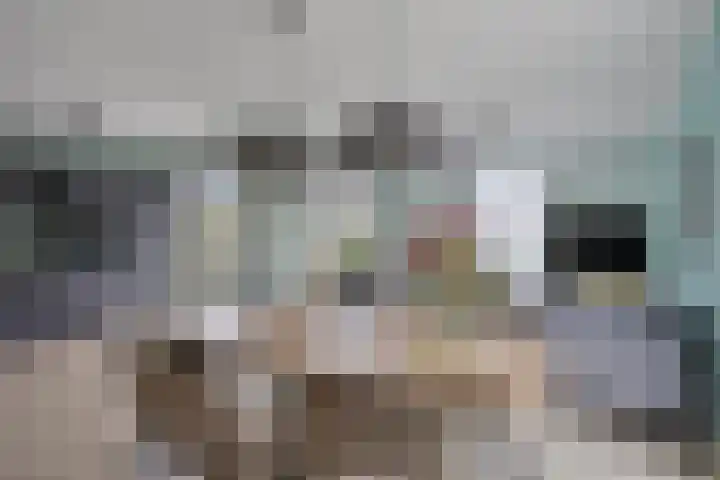 Jonkheer 23 Geldrop thumbnail 12