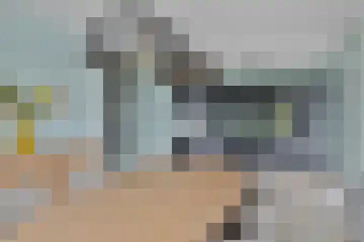 Jonkheer 23 Geldrop thumbnail 13