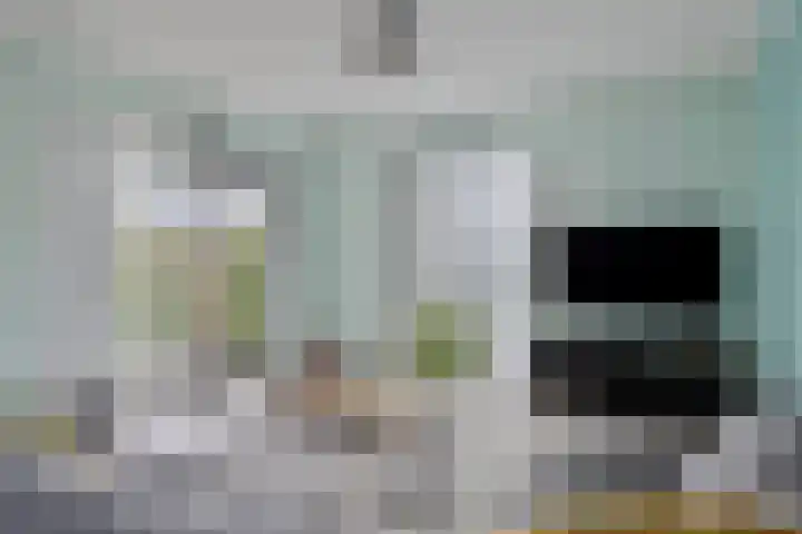 Jonkheer 23 Geldrop thumbnail 16