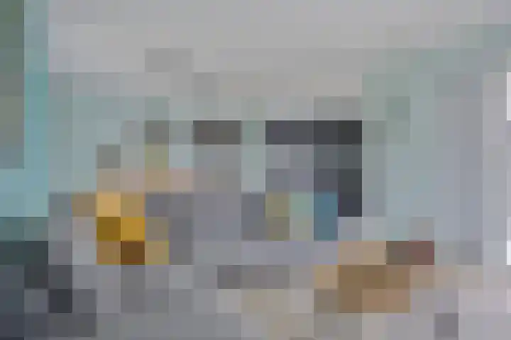 Jonkheer 23 Geldrop thumbnail 18