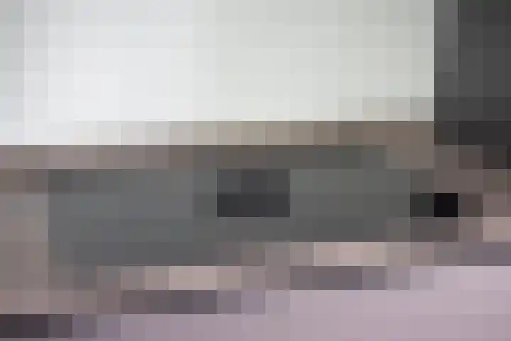 Jonkheer 23 Geldrop thumbnail 21