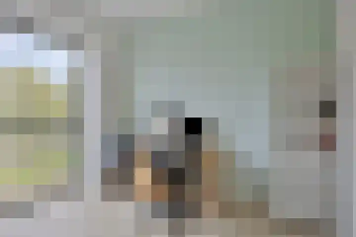 Jonkheer 23 Geldrop thumbnail 24