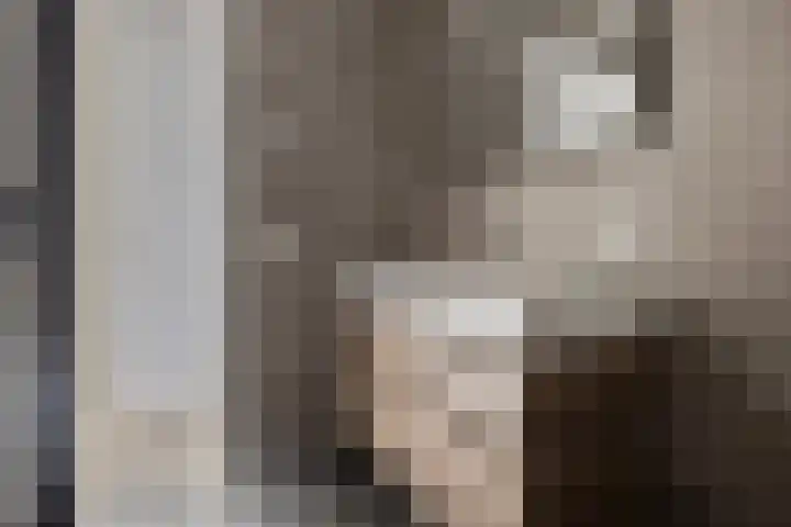 Jonkheer 23 Geldrop thumbnail 27
