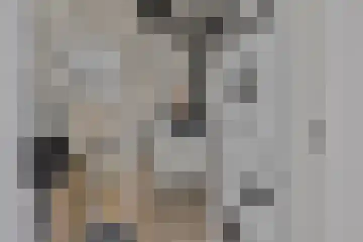 Jonkheer 23 Geldrop thumbnail 29