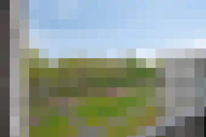 Jonkheer 23 Geldrop thumbnail 30