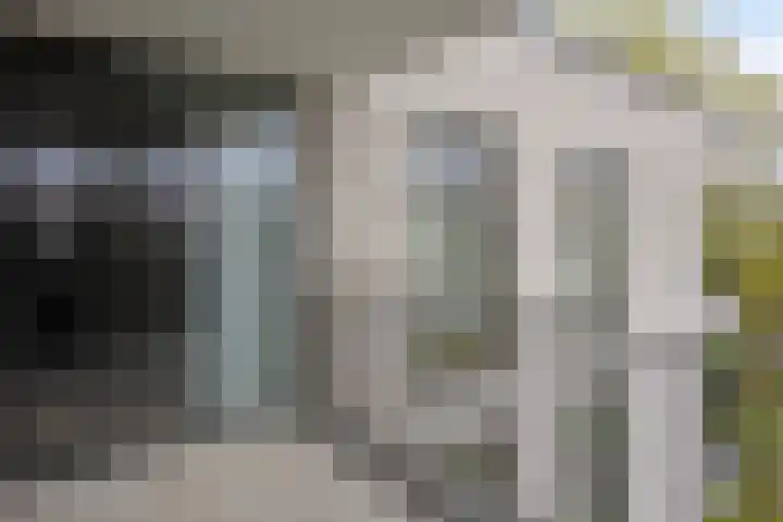 Jonkheer 23 Geldrop thumbnail 32