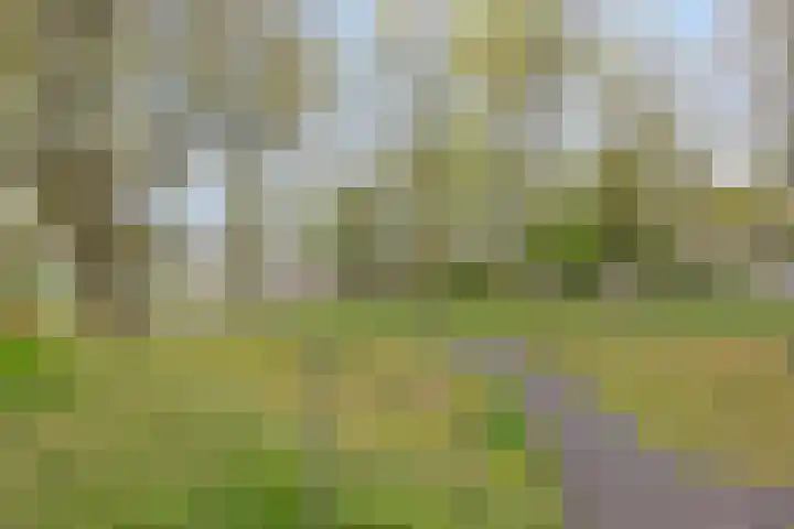 Jonkheer 23 Geldrop thumbnail 38