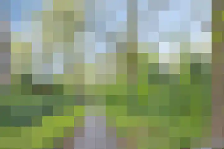 Jonkheer 23 Geldrop thumbnail 42