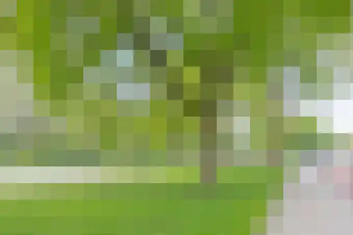 Jonkheer 23 Geldrop thumbnail 43