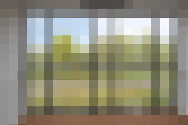 Jonkheer 23 Geldrop thumbnail 8
