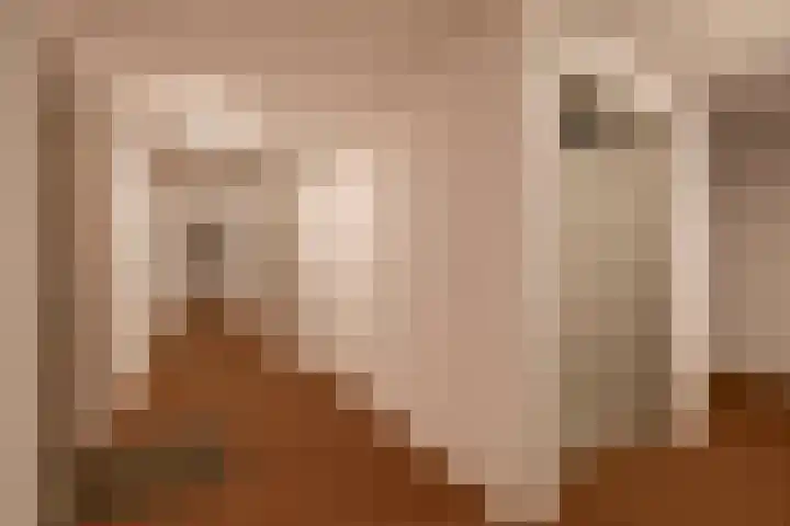 Jonkheer 47 Geldrop thumbnail 10
