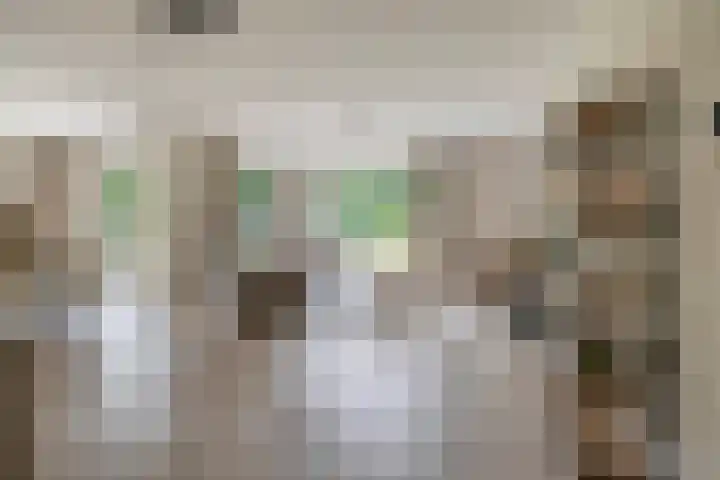 Jonkheer 47 Geldrop thumbnail 16