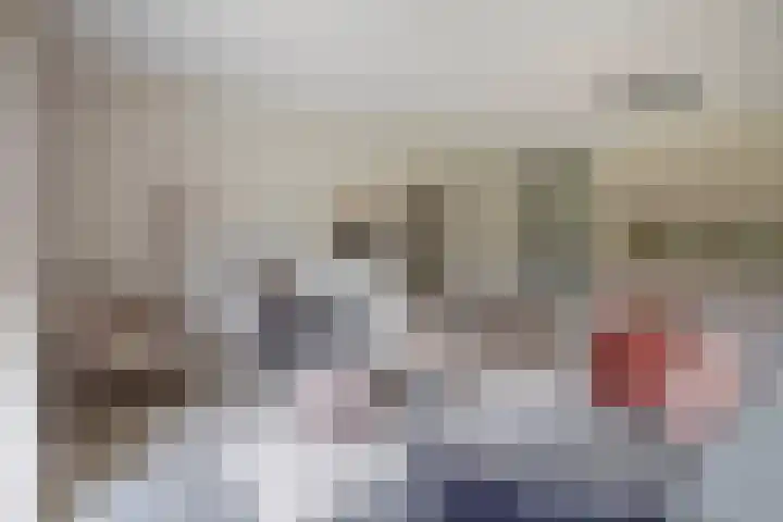 Jonkheer 47 Geldrop thumbnail 19