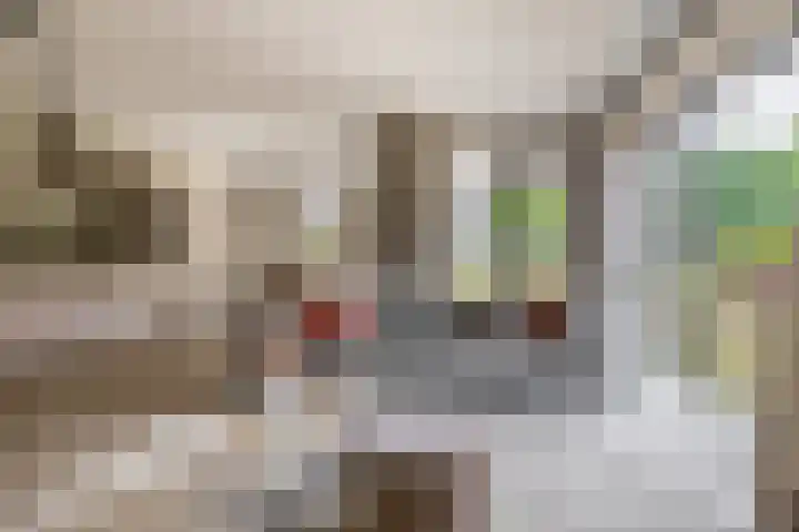 Jonkheer 47 Geldrop foto 2