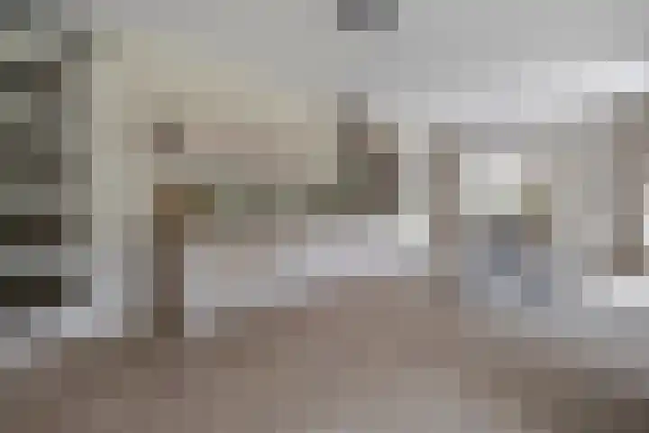 Jonkheer 47 Geldrop thumbnail 21