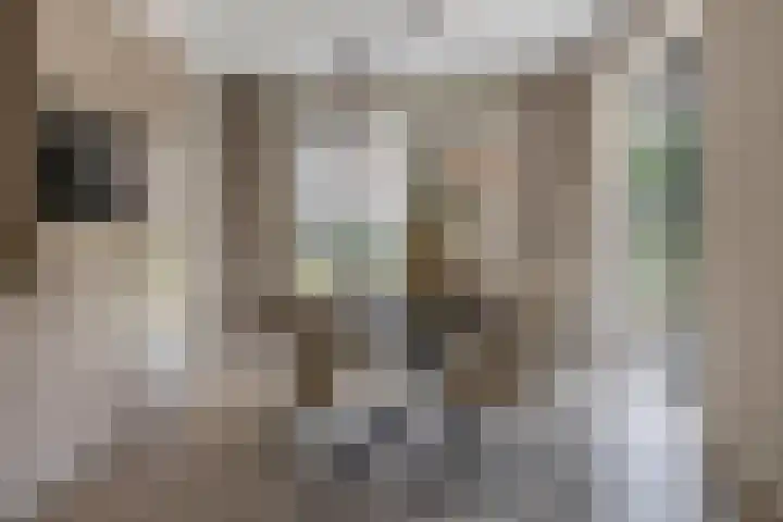 Jonkheer 47 Geldrop thumbnail 24