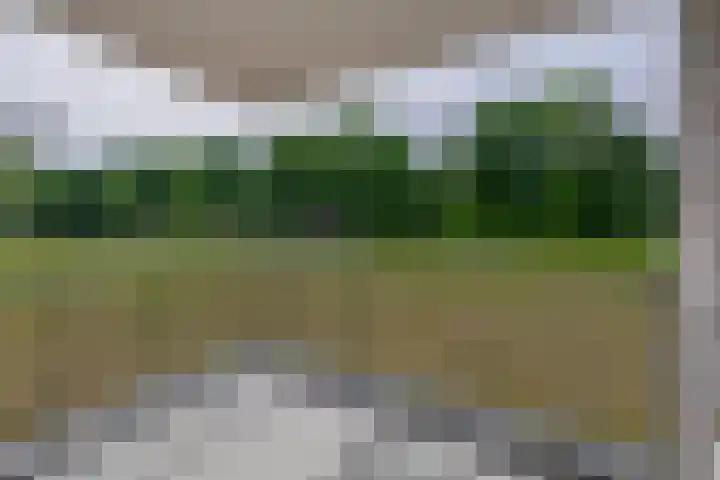 Jonkheer 47 Geldrop thumbnail 26