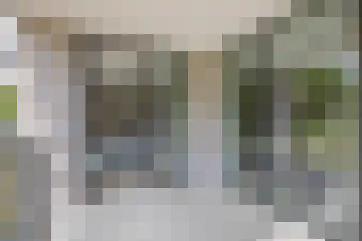 Jonkheer 47 Geldrop thumbnail 27