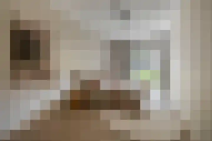 Jonkheer 47 Geldrop foto 3