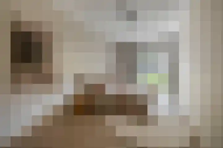 Jonkheer 47 Geldrop thumbnail 30
