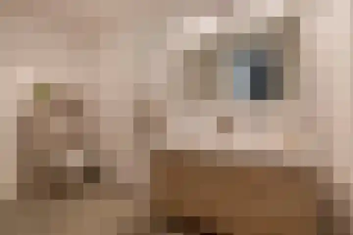 Jonkheer 47 Geldrop thumbnail 4