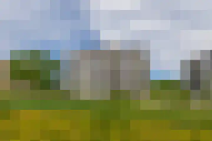 Jonkheer 47 Geldrop thumbnail 42