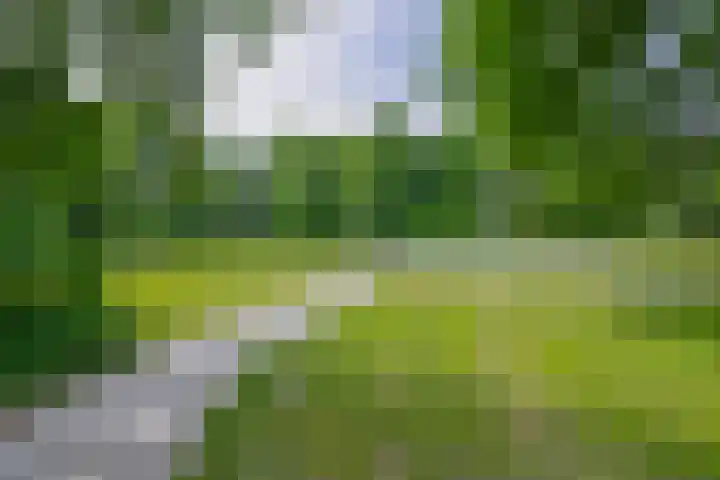 Jonkheer 47 Geldrop thumbnail 45