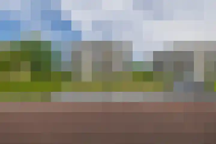 Jonkheer 47 Geldrop thumbnail 46