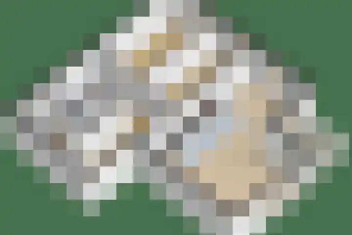 Jonkheer 47 Geldrop thumbnail 48