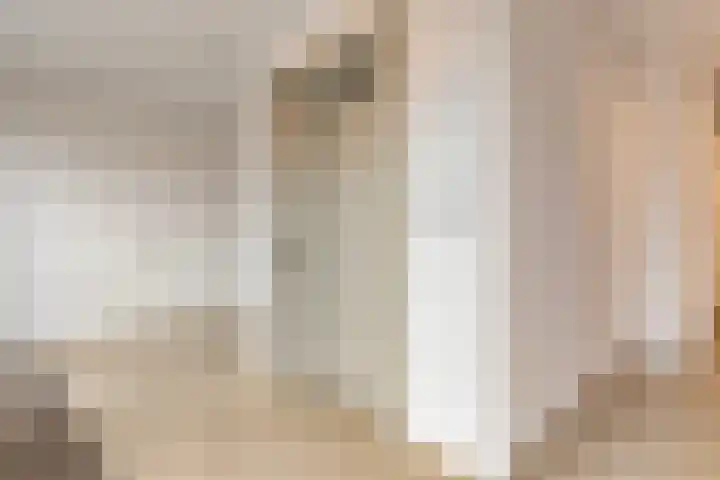 Jonkheer 64 Geldrop thumbnail 10