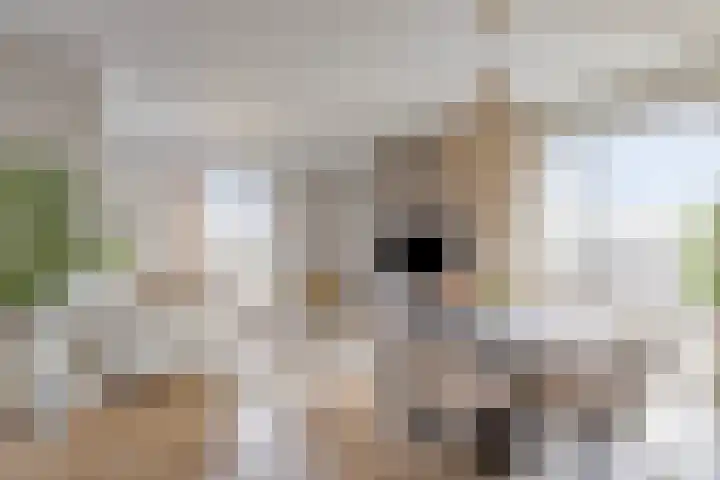 Jonkheer 64 Geldrop thumbnail 15