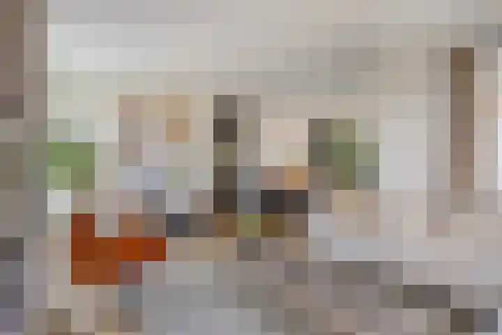 Jonkheer 64 Geldrop thumbnail 17
