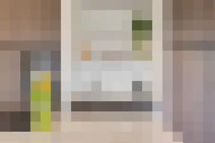Jonkheer 64 Geldrop thumbnail 22