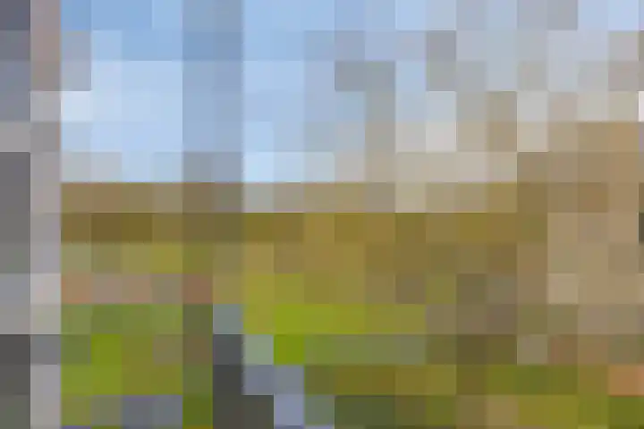 Jonkheer 64 Geldrop thumbnail 27