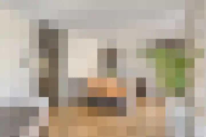 Jonkheer 64 Geldrop foto 3