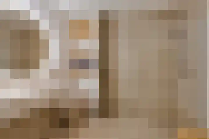 Jonkheer 64 Geldrop thumbnail 5