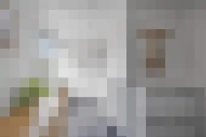 Jonkvrouw 54 Sneek thumbnail 15