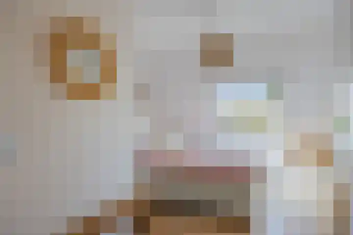 Jonkvrouw 54 Sneek thumbnail 22