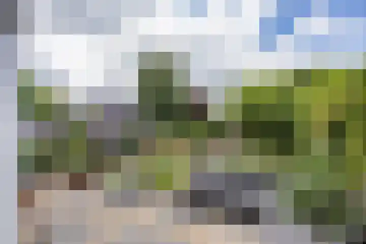 Jonkvrouw 54 Sneek thumbnail 28