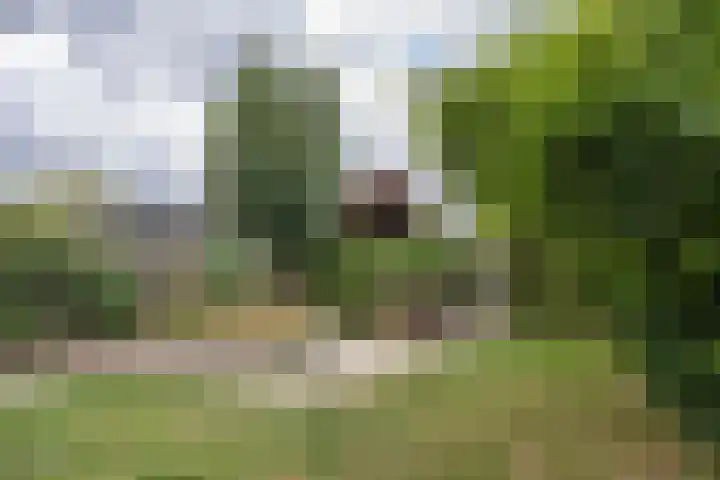 Jonkvrouw 54 Sneek thumbnail 31