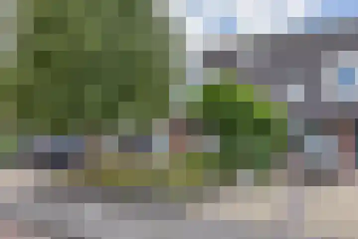 Jonkvrouw 54 Sneek thumbnail 36