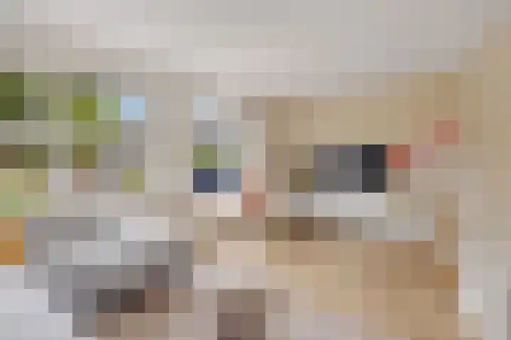 Jonkvrouw 54 Sneek thumbnail 4