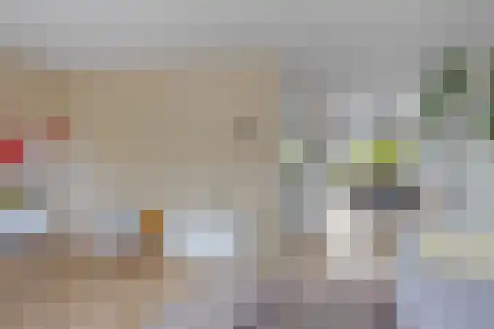 Jonkvrouw 54 Sneek thumbnail 6