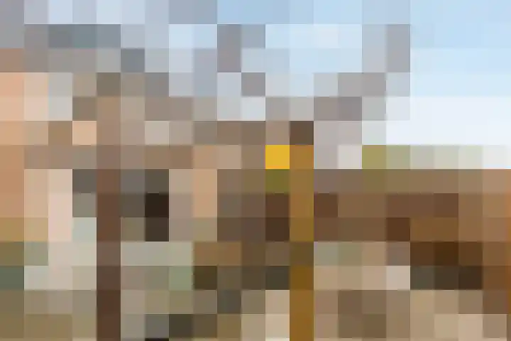 Jonkvrouw 54 Sneek thumbnail 7