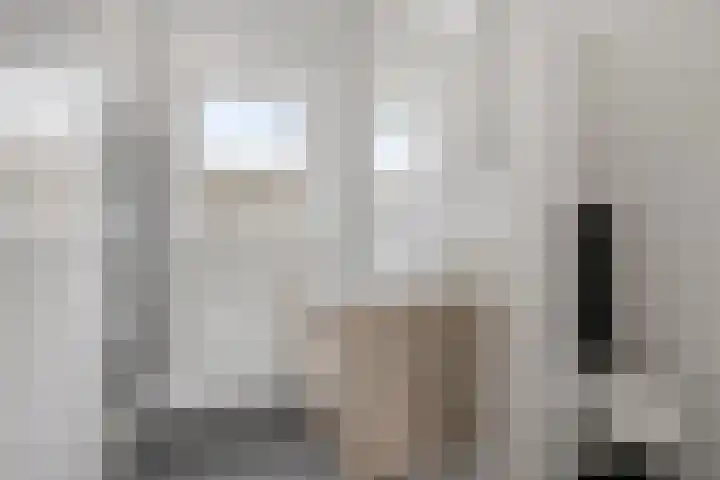 Jonkvrouw 54 Sneek thumbnail 8